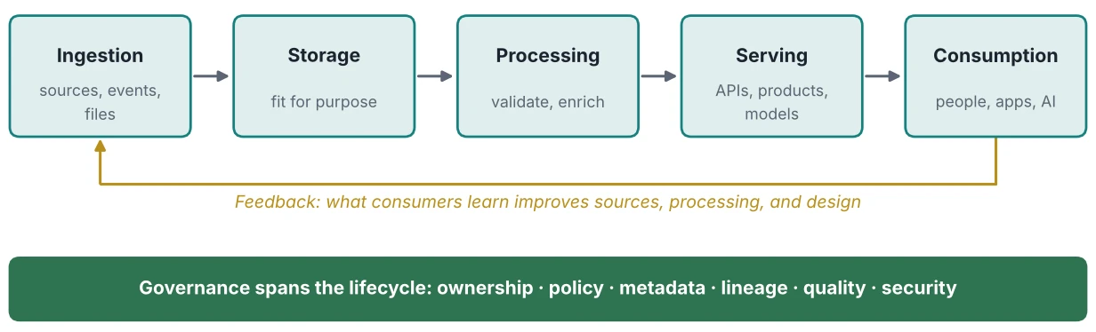 Figure 1.1: The Enterprise Data Lifecycle